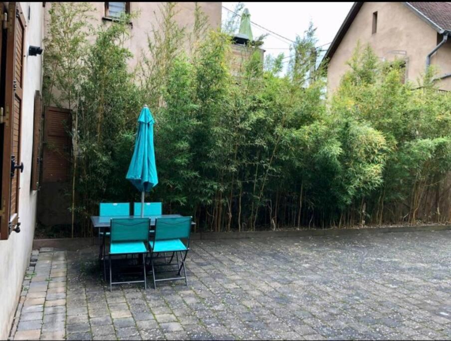 L'Appar'T - Centre Historique De Obernai Apartment Exterior photo