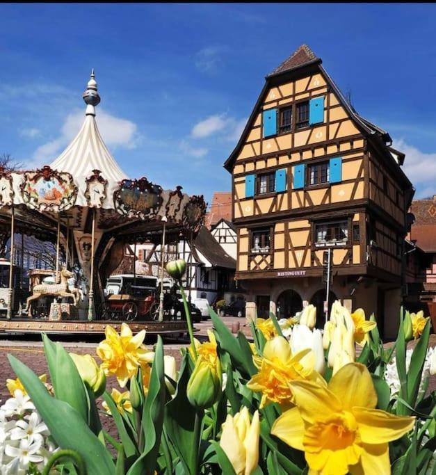 L'Appar'T - Centre Historique De Obernai Apartment Exterior photo